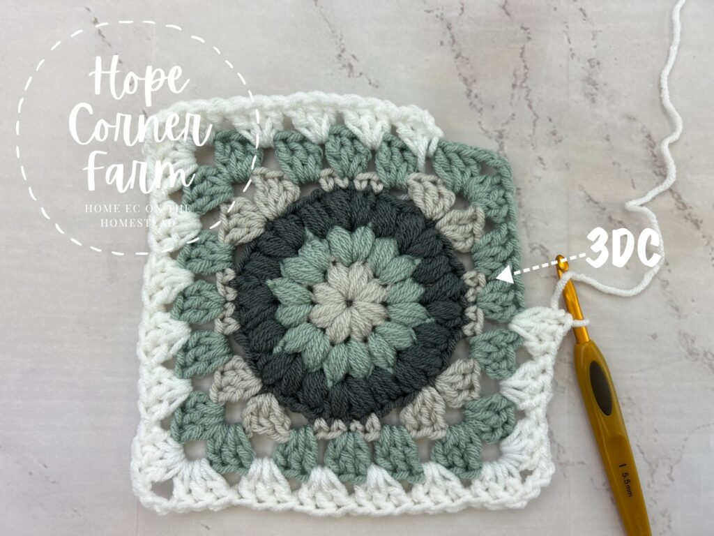 3 Double Crochets in the next gap