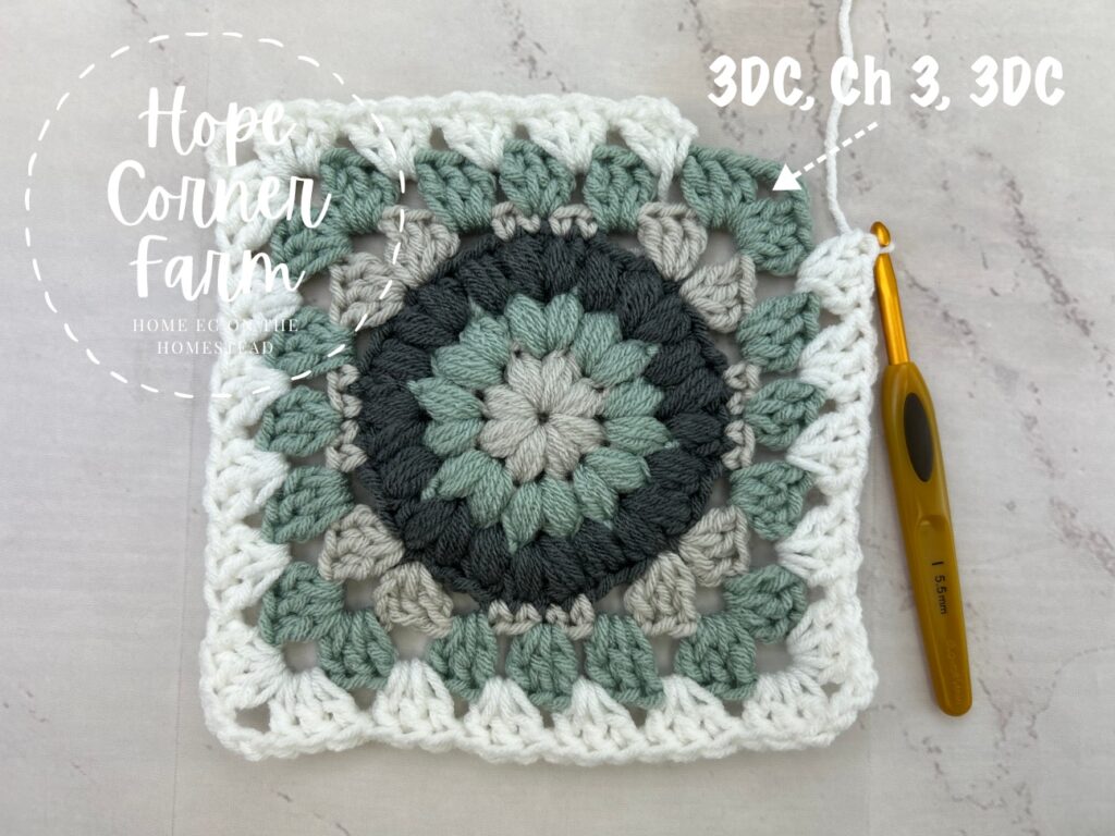 3 Double Crochets, Chain 3, 3 Double Crochets to make the corner