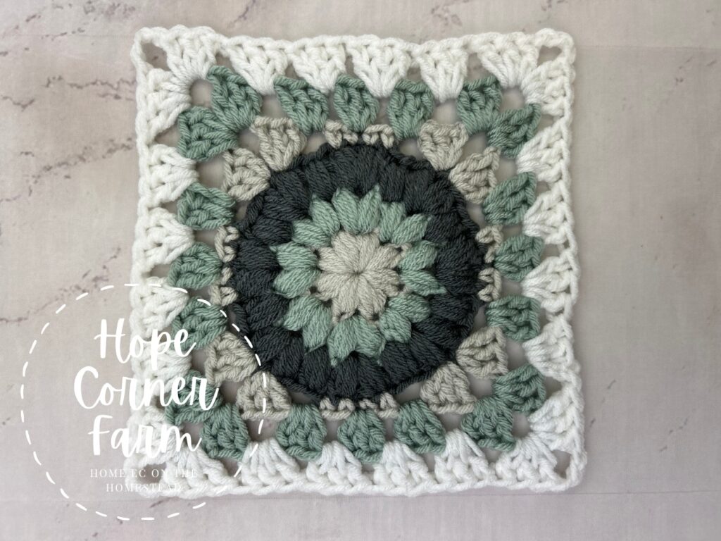 Finished Puff Flower Granny Square