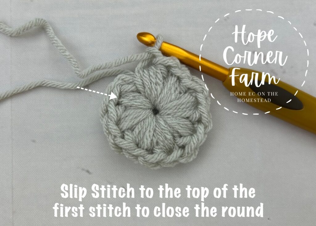 Slip Stitch to the top of the first stitch to close the round