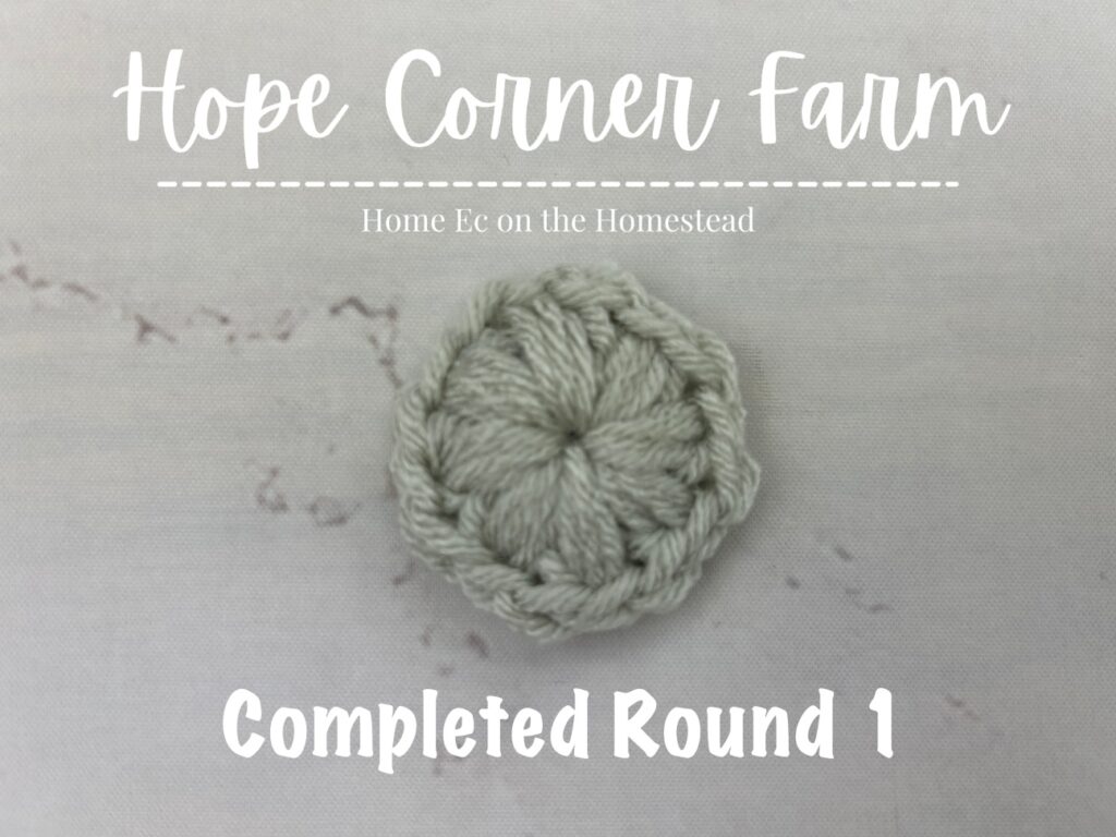 Completed Round 1 of the Puff Flower Granny Square