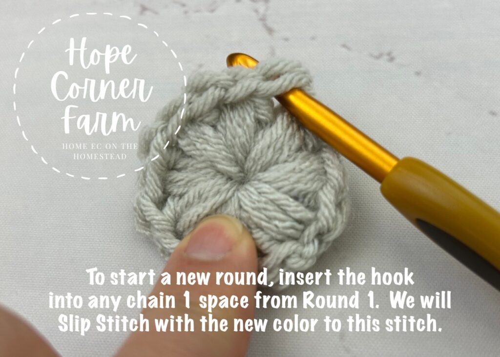 Insert the crochet hook into any chain 1 space
