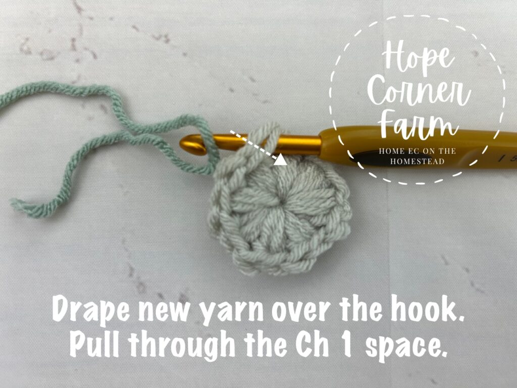YO with new yarn and pull through the chain 1 space