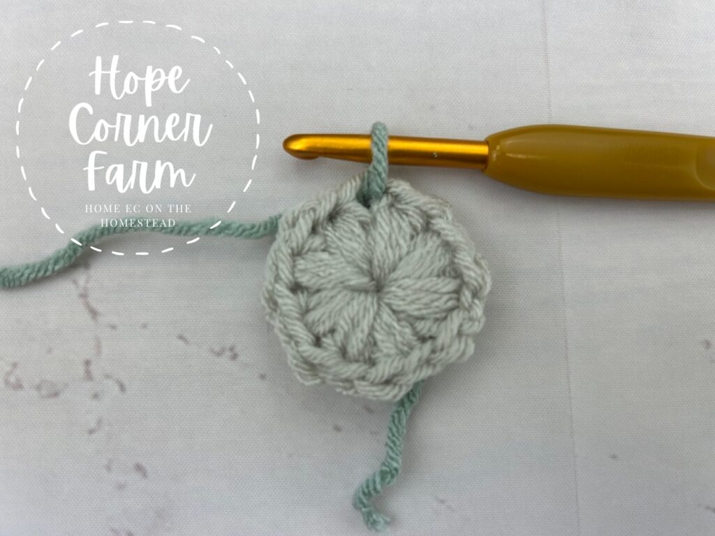 We now have a chain 1 with the new yarn color