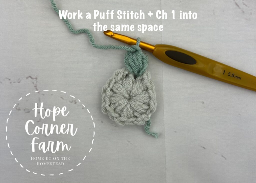 Puff Stitch and chain 1 into the same space
