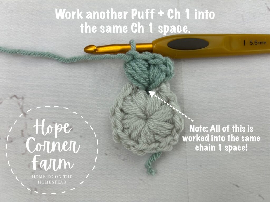 Work another puff stitch and chain 1 into the same space