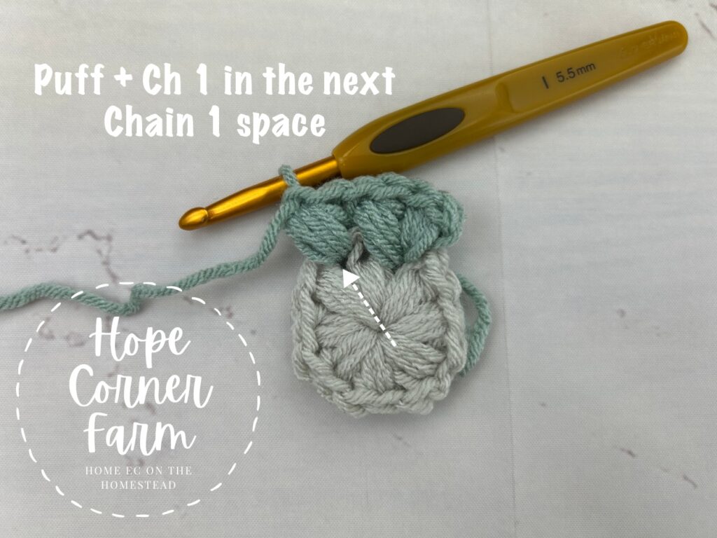 Puff Stitch and Chain 1 into the next chain 1 space