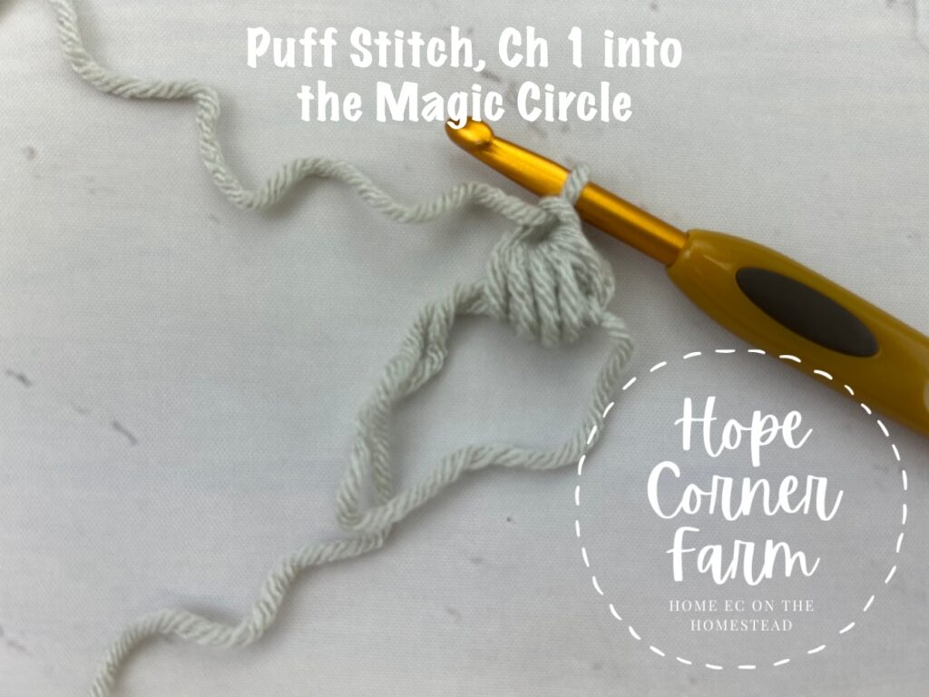 Puff Stitch, chain 1 into the Magic Circle