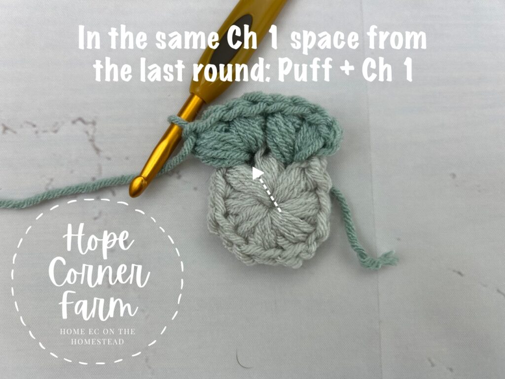 In the same chain 1 space crochet another puff stitch and chain 1