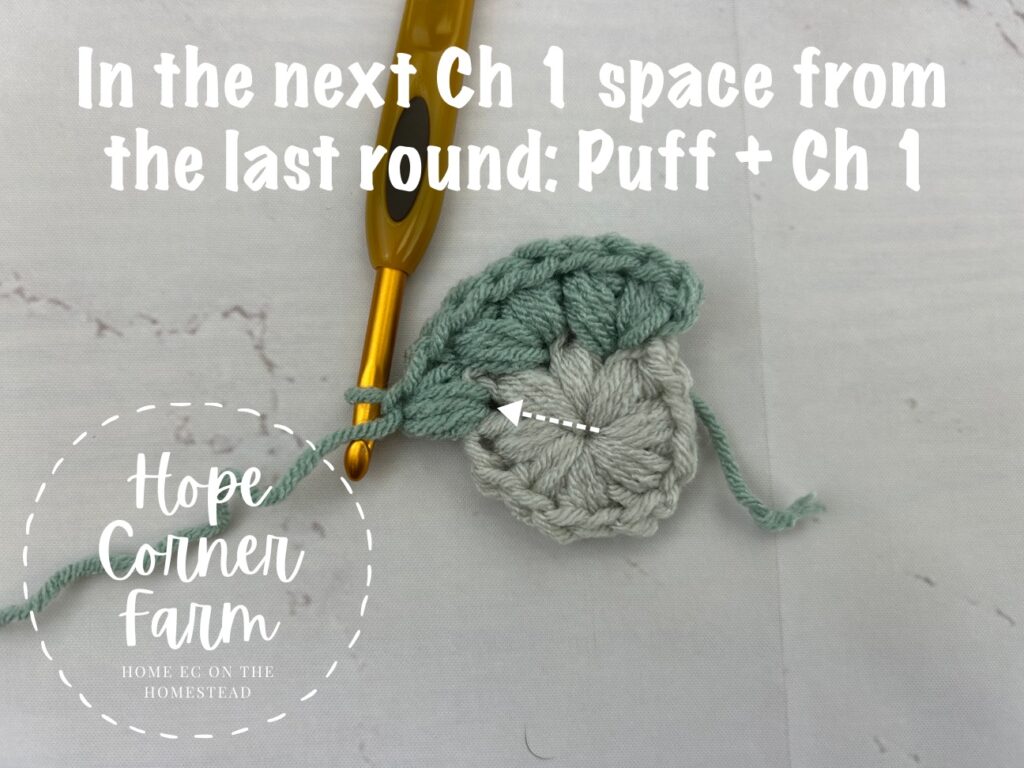 In the next chain 1 space place a puff stitch and chain 1