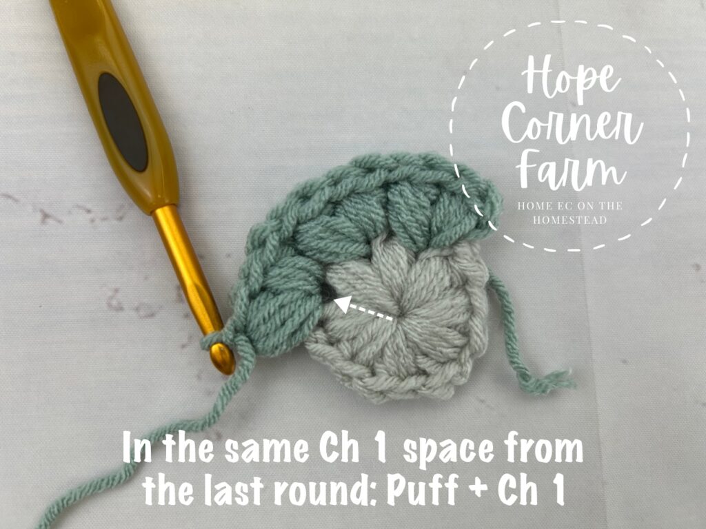 Round 2 Puff Flower Granny Square