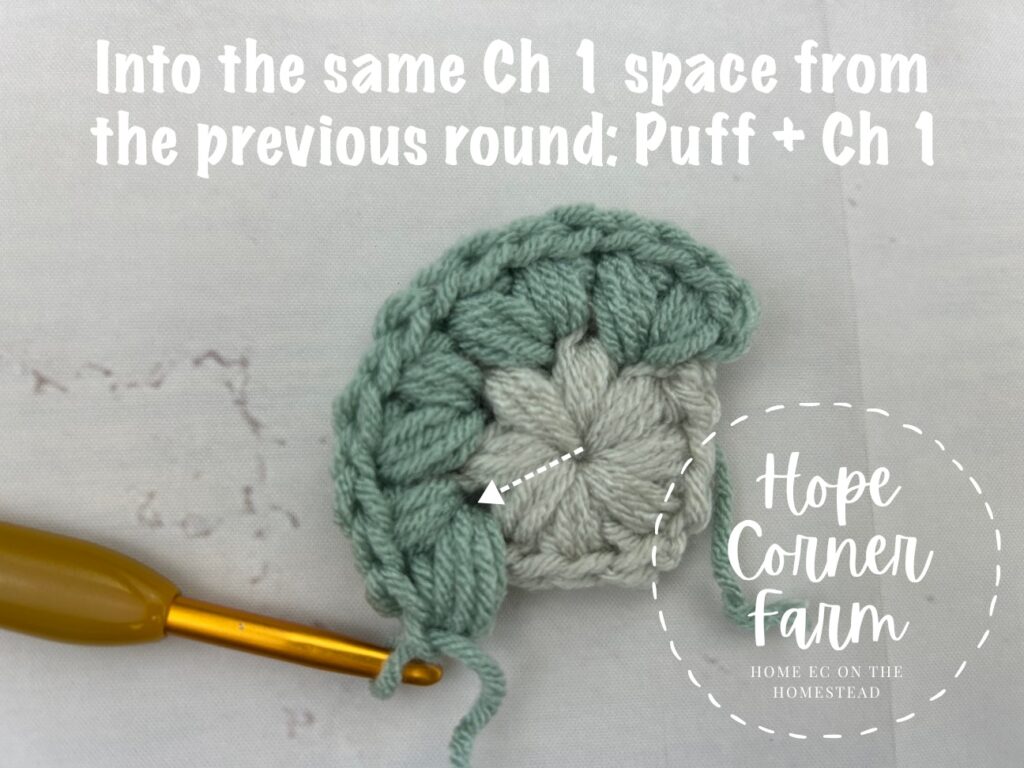 Into the same chain 1 space place another puff stitch and chain 1