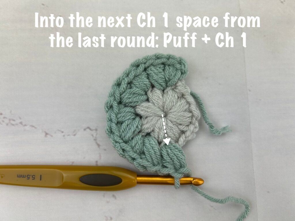 Puff flower granny square