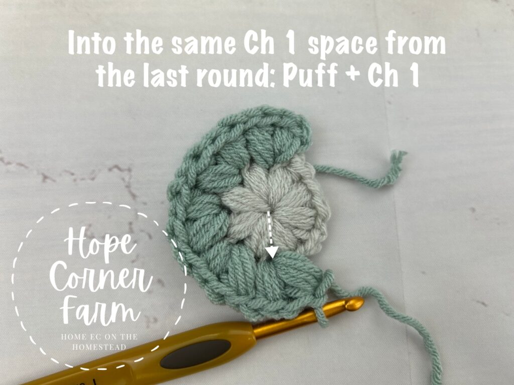 Into the same chain 1 space puff stitch and chain 1