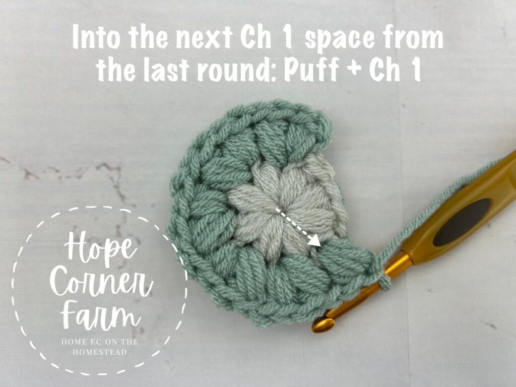 Crochet a puff stitch and chain 1 into the next chain 1 space