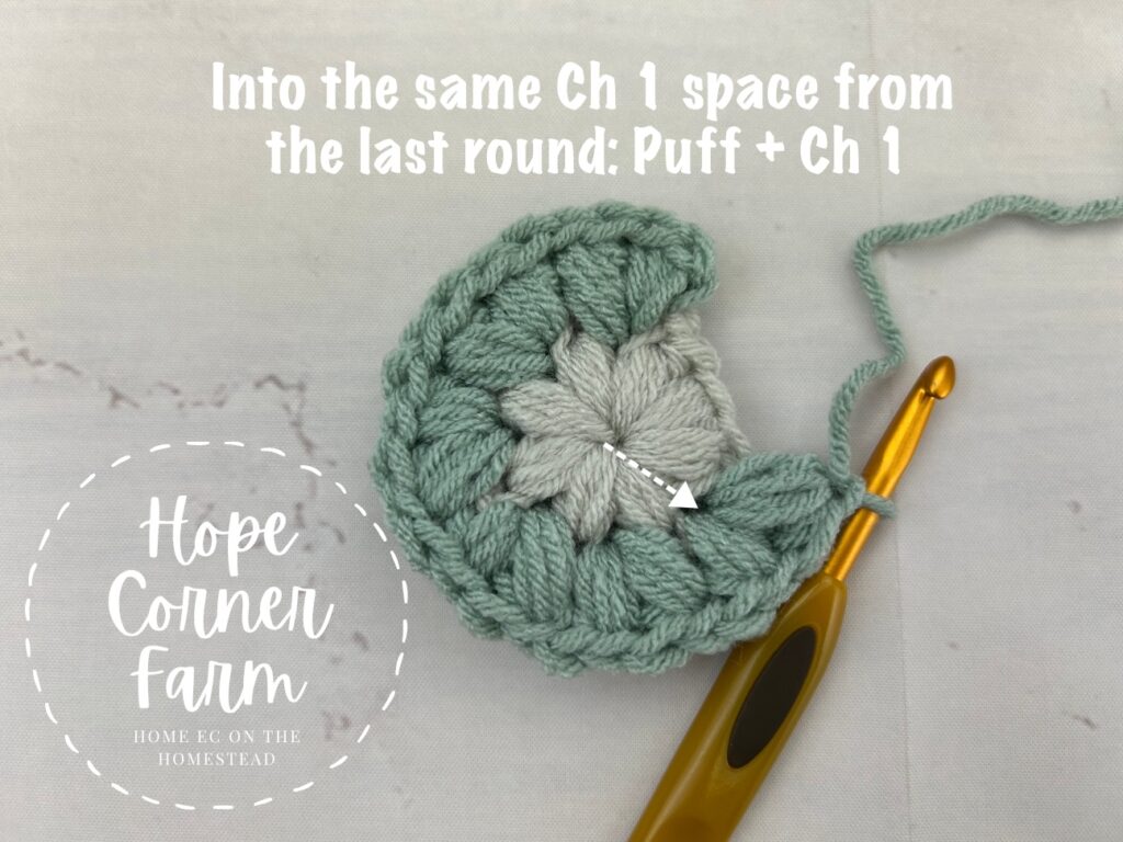 Puff Stitch and chain 1