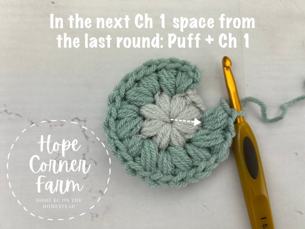In the next chain 1 space puff stitch and chain 1