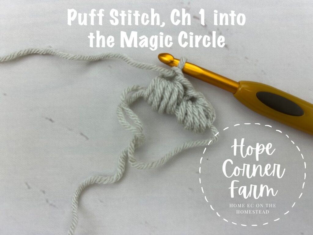Continue crocheting into the Magic Ring