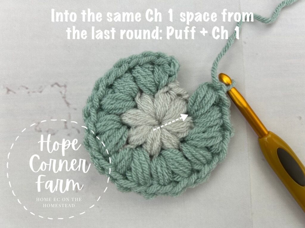 into the same chain 1 space place another puff stitch and chain 1