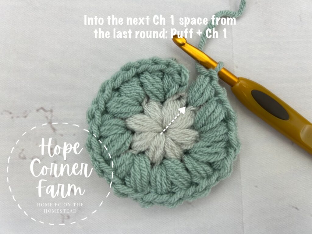 Round 2 Puff Flower Granny Square
