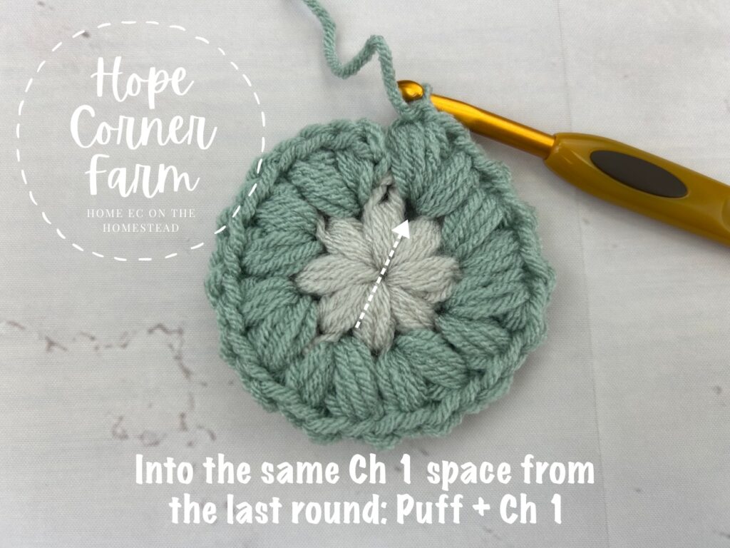 Into the same chain 1 space place another puff stitch and chain 1