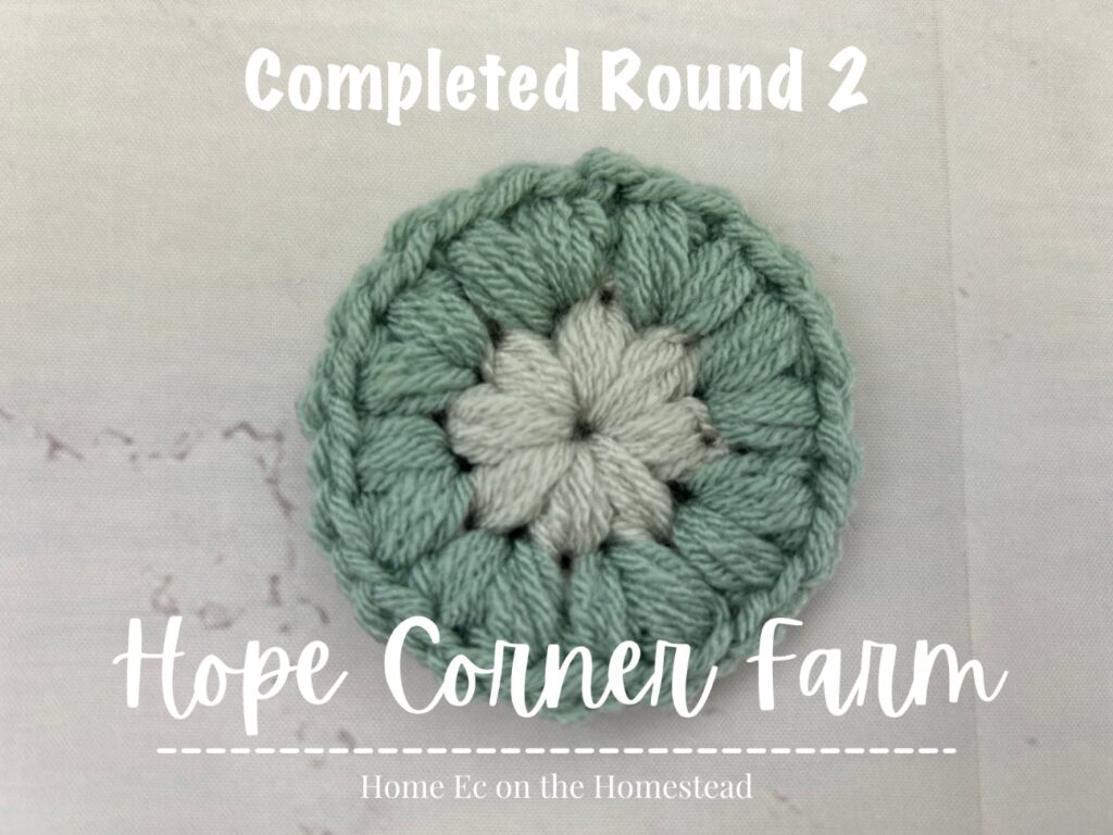 Completed round 2 of the Puff Flower Granny Square