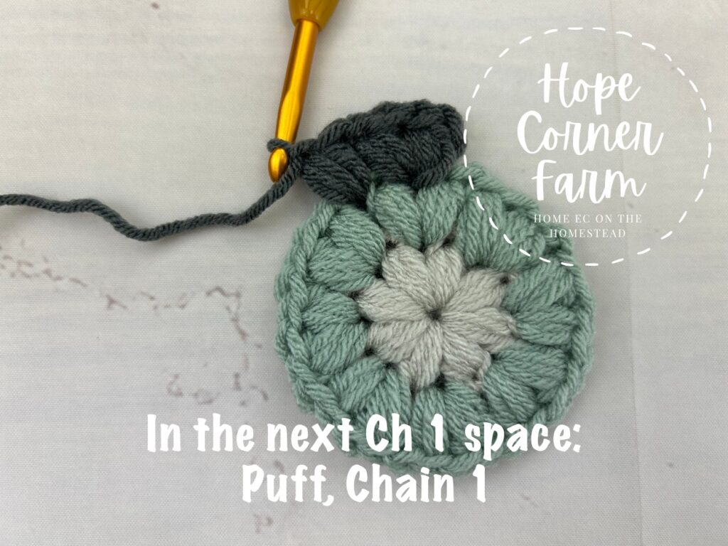 In the next chain 1 space: Puff, Chain 1