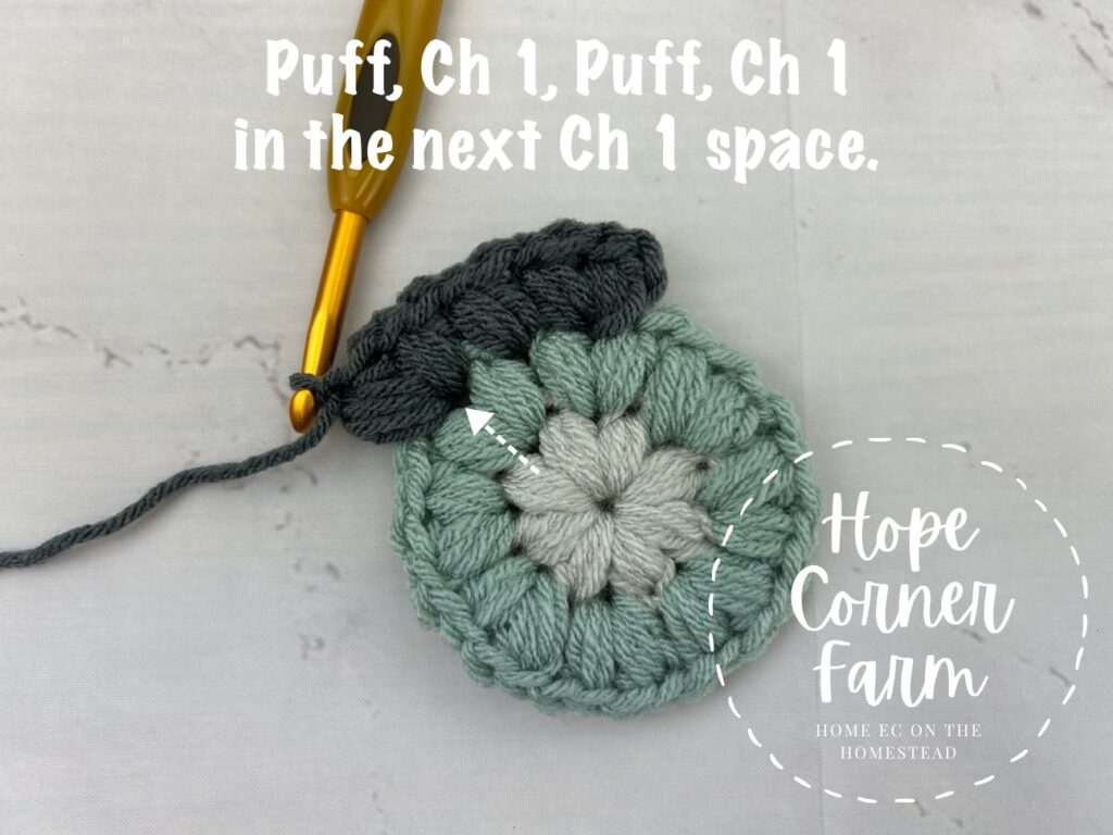Puff stitch, Ch 1, Puff Stitch, Ch 1 in the next chain 1 space