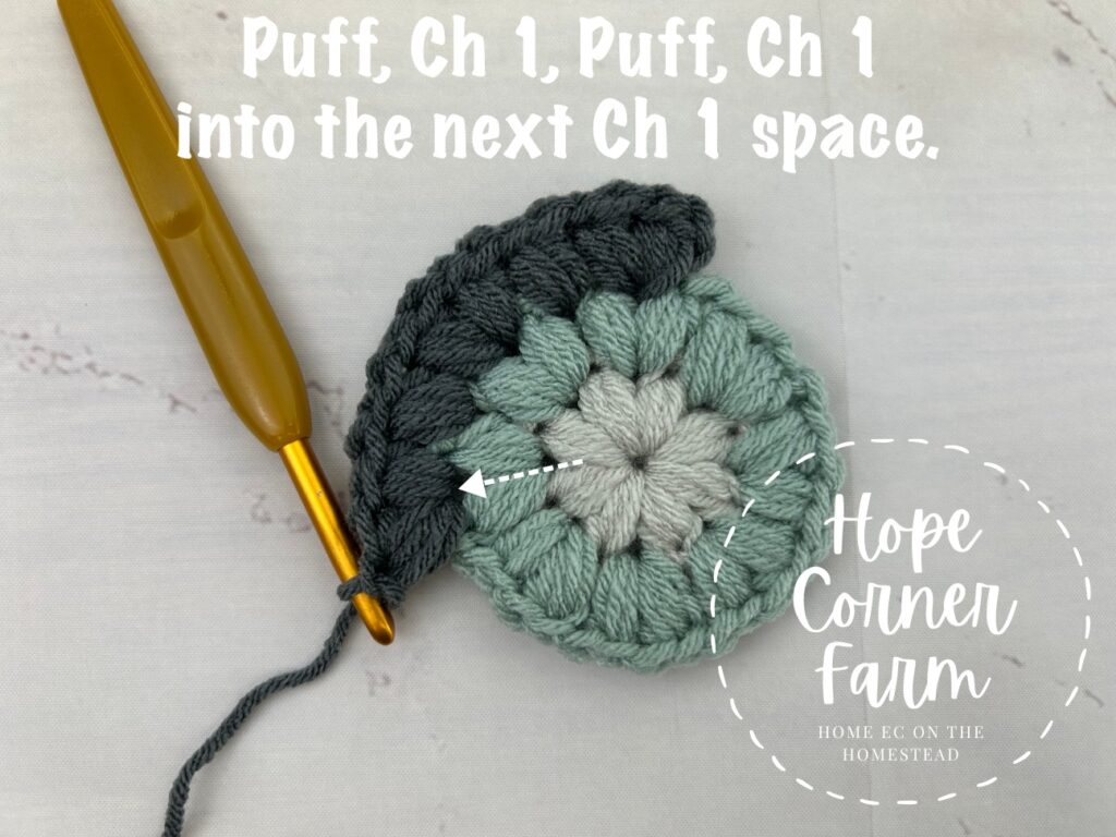 Puff, Ch 1, Puff, Ch 1 into the next space