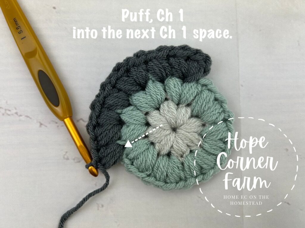 In the next chain 1 space, Puff Stitch and chain 1