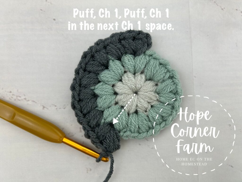 Into the next chain 1 space place puff stitch, chain 1, puff stitch, chain 1