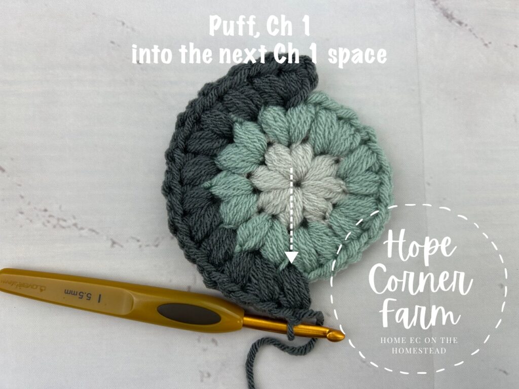 Puff Flower Granny Square Round 3