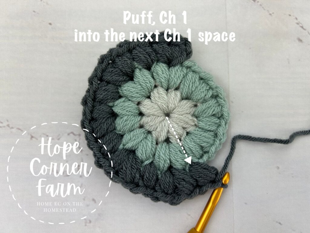 Puff, chain 1 into the next chain 1 space