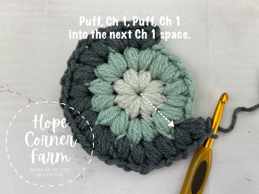 Work a puff stitch, chain 1, puff stitch, chain 1 into the next chain 1 space