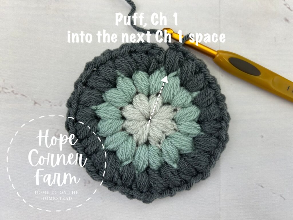 Next Puff Stitch, Chain 1 into the next Chain 1 space
