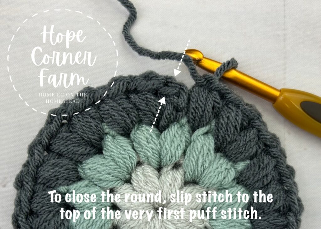 To close round 3, slip stitch to the top of the 1st puff stitch