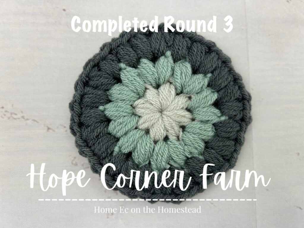 Completed Round 3 of the Puff Flower Granny Square
