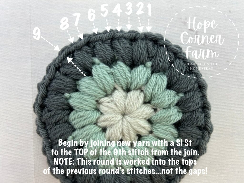 Begin by joining the new yarn with a slip stitch to the top of the 9th stitch from the join.