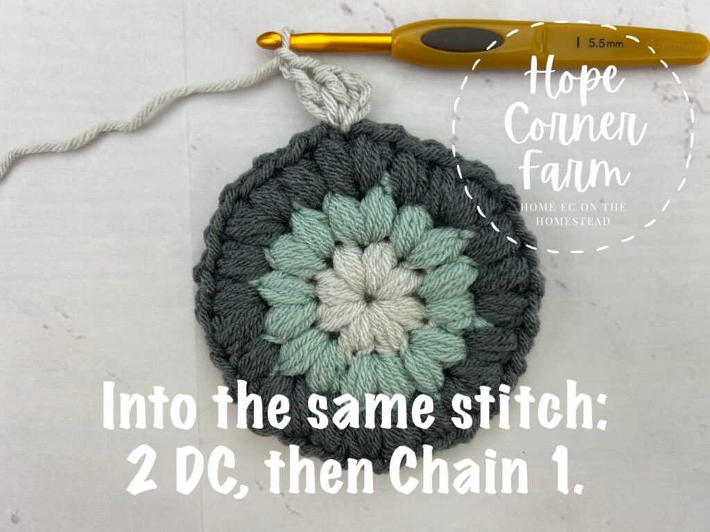 Put 2 more double crochets into the same stitch, then chain 1