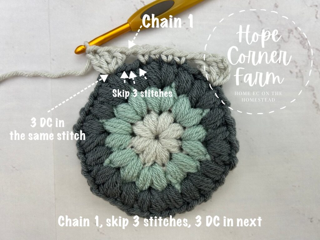 Chain 1, skip 3 stitches, then place 3 double crochets in the next stitch.