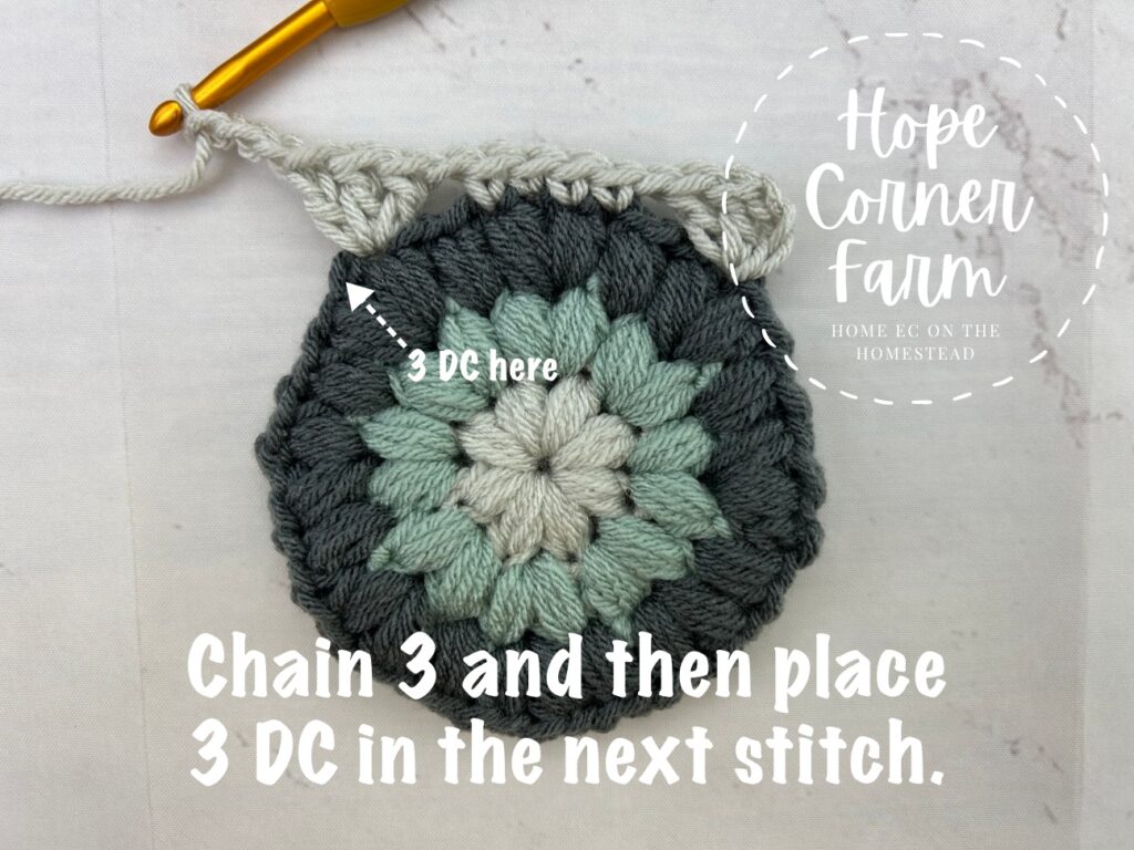 Chain 3 and then put 3 double crochets into the next stitch