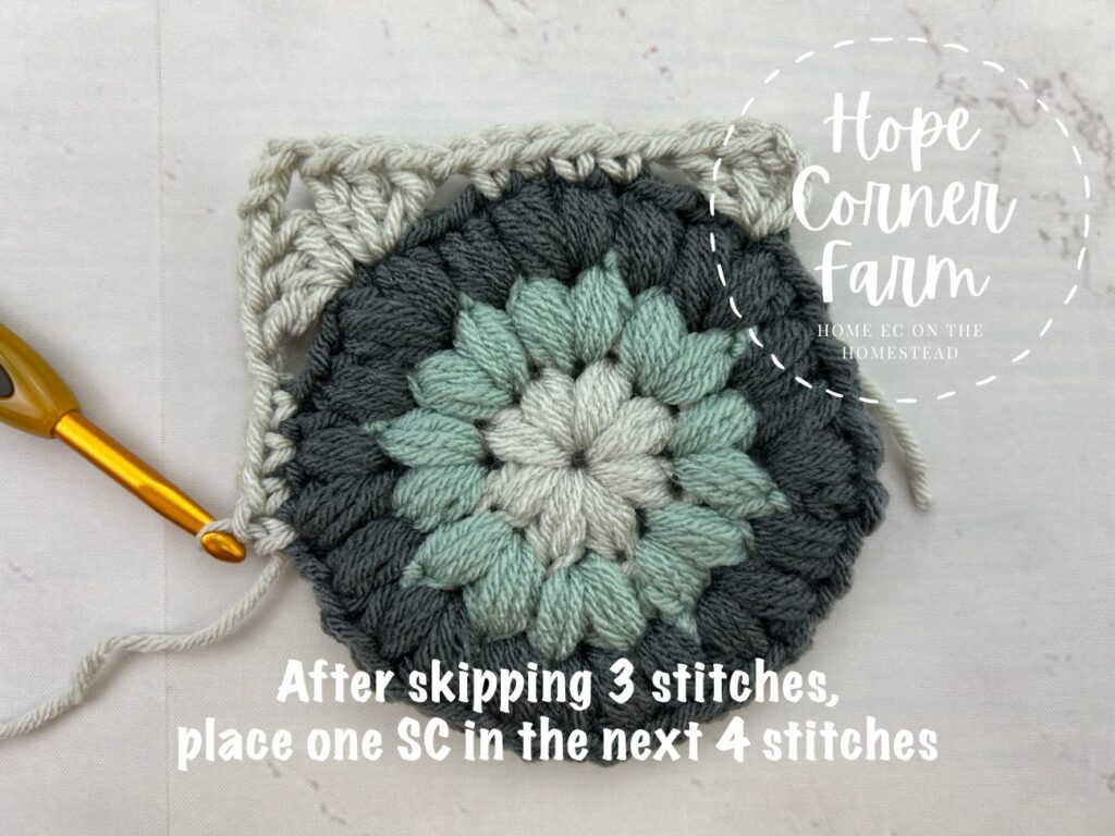 Single crochet in each of the next 4 stitches