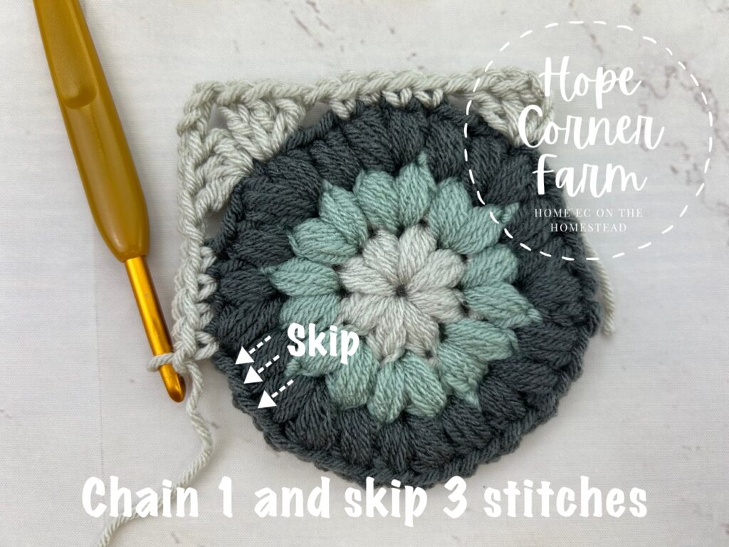 Chain 1 and skip 3 stitches