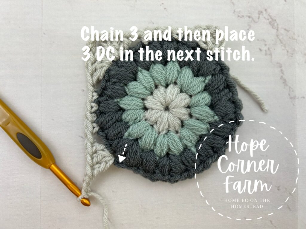 Next chain 3 and place 3 DC in the next stitch