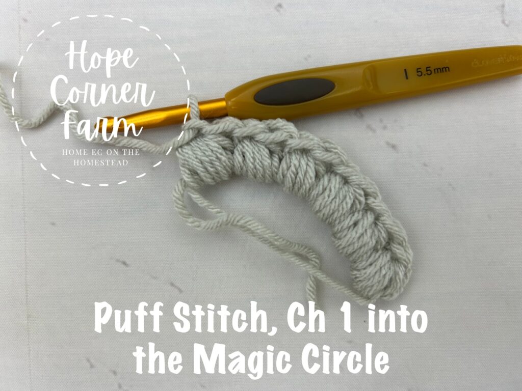Puff Stitch, Chain 1 into the Magic Ring