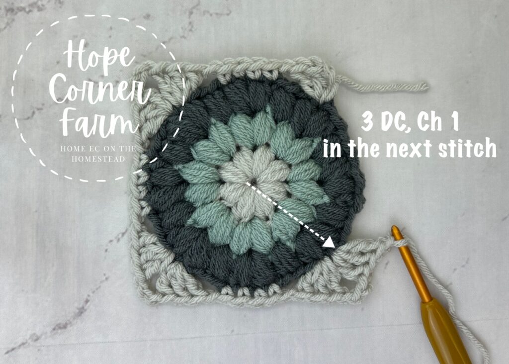 3 DC, Ch 1 in the next stitch