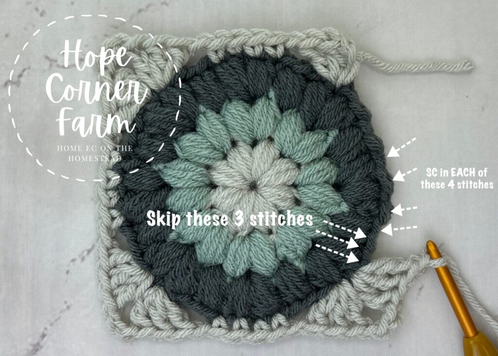 Skip these 3 stitches and then place 4 single crochets in the next