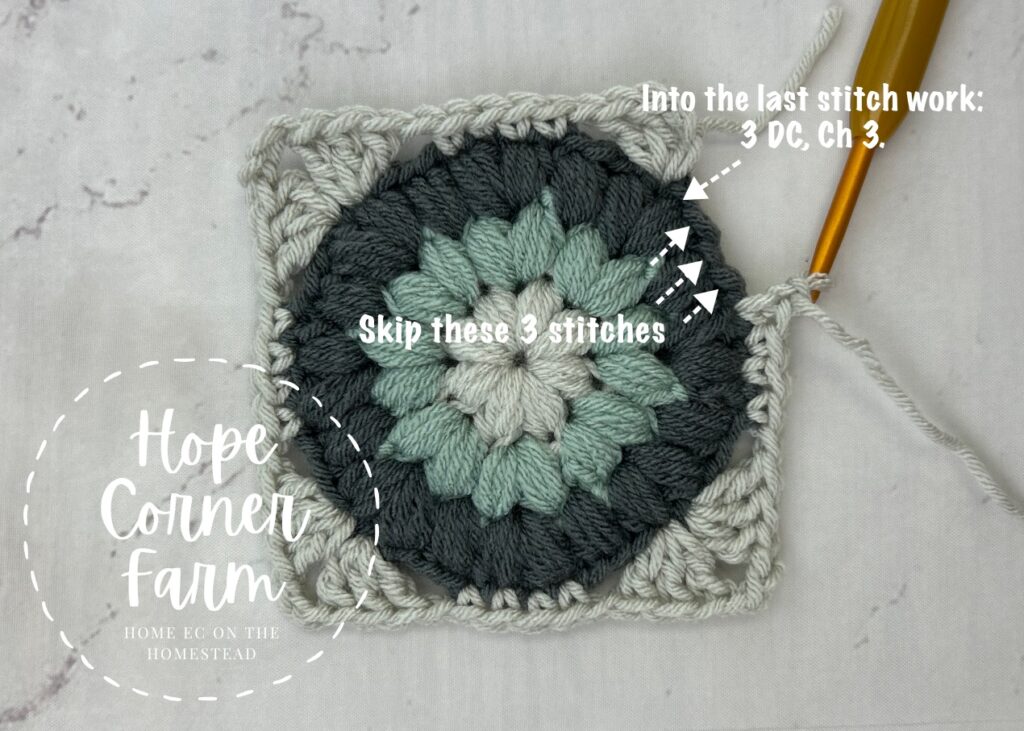 Into the last stitch work 3 double crochets and then chain 3