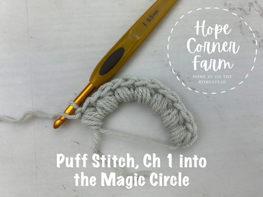 Place another Puff Stitch and chain 1 into the MC