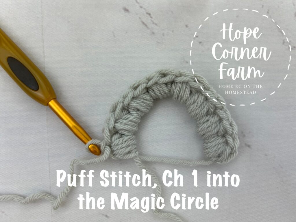 8 Puff Stitch, Chain 1 combinations in the magic circle